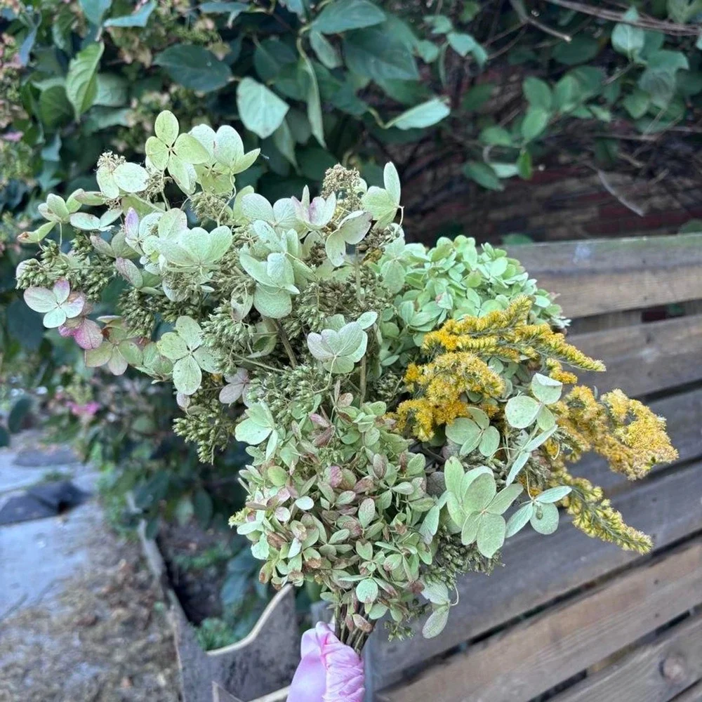 Preserved Goldenrod and Hydrangea Bouquet Real Dried Wildflower Farmhouse Decor